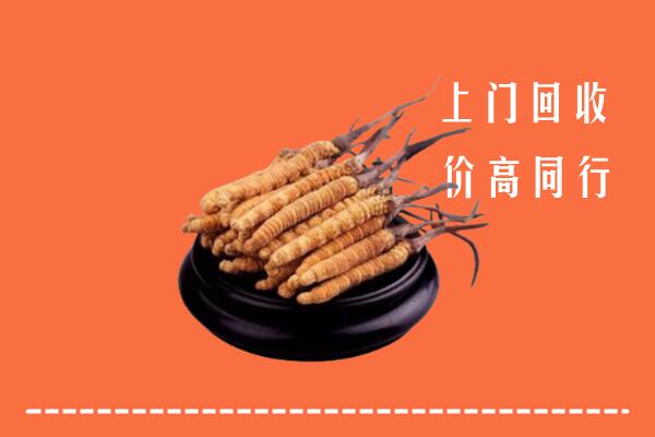 新县回收散虫草