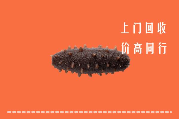 新县高价回收海参
