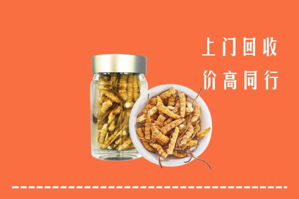 新县回收冬虫夏草